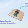 Bague de lecture – plastique recyclé