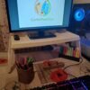 Vide-poche de bureau – carton recyclé